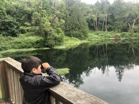 Child bird watching at the lake at Columbia Springs